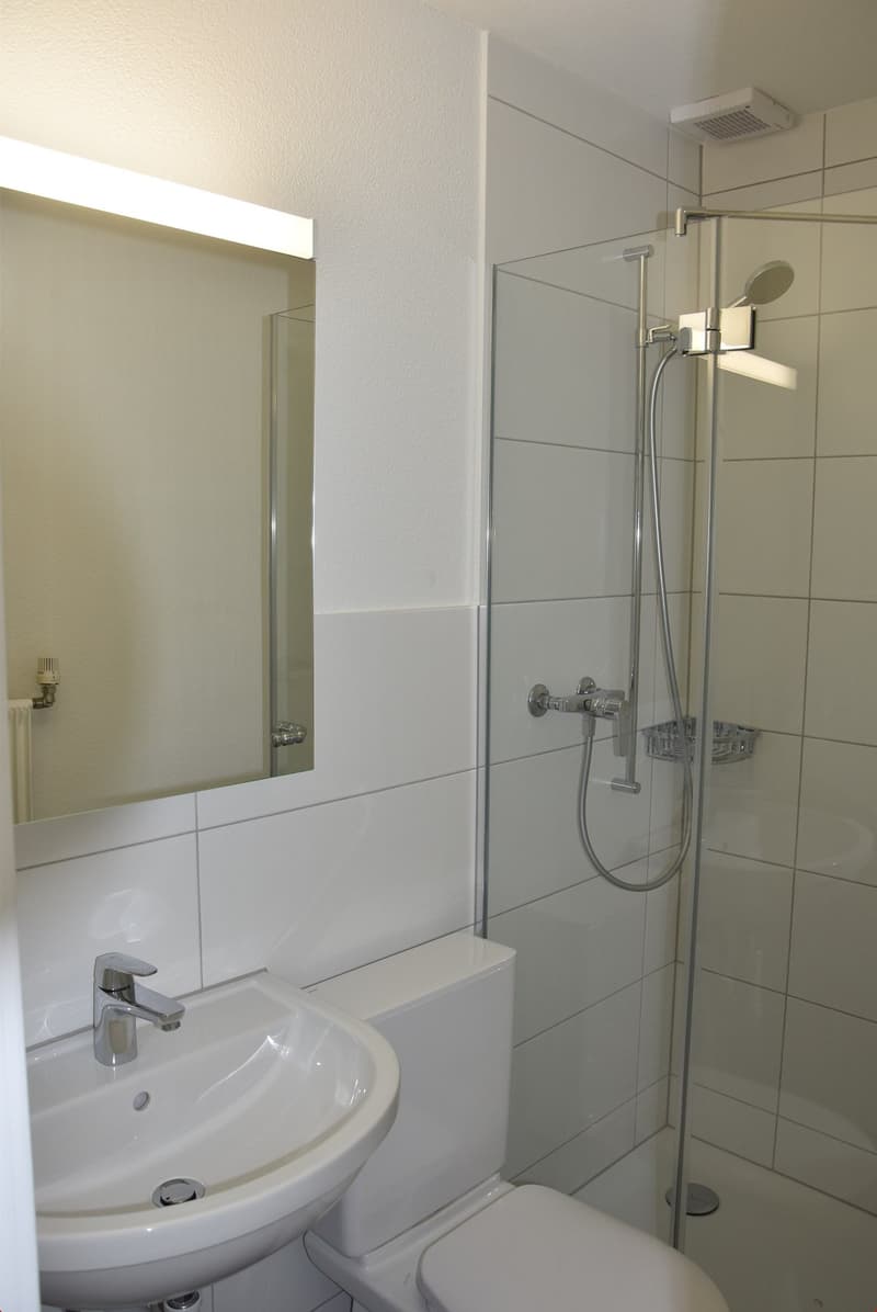 1.5 Zimmer-Wohnung mit Balkon (6)