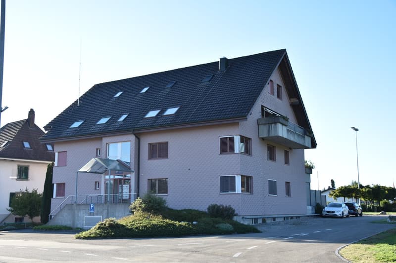 4 1/2-Zimmer-Wohnung (17)