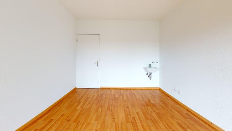 empty room, white walls, wooden floor, mounted sink, power outlets