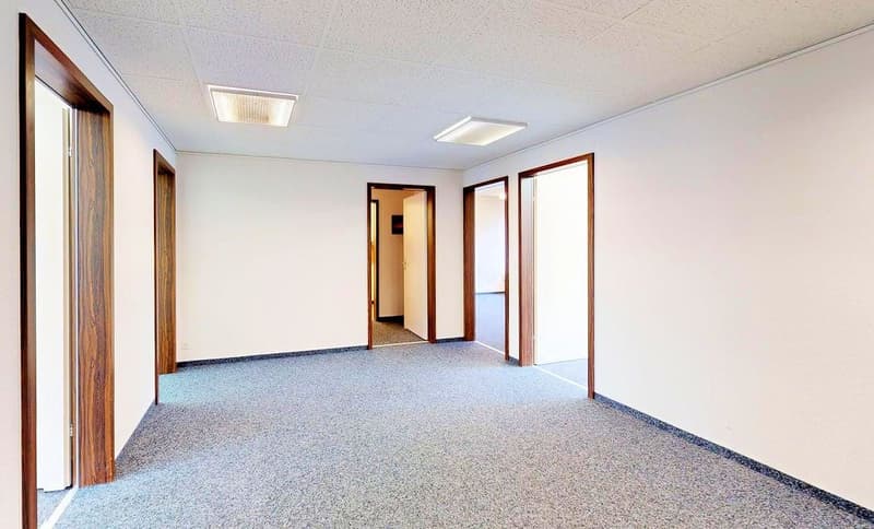 Empty room with carpeted floor, 3 doorways, ceiling lights