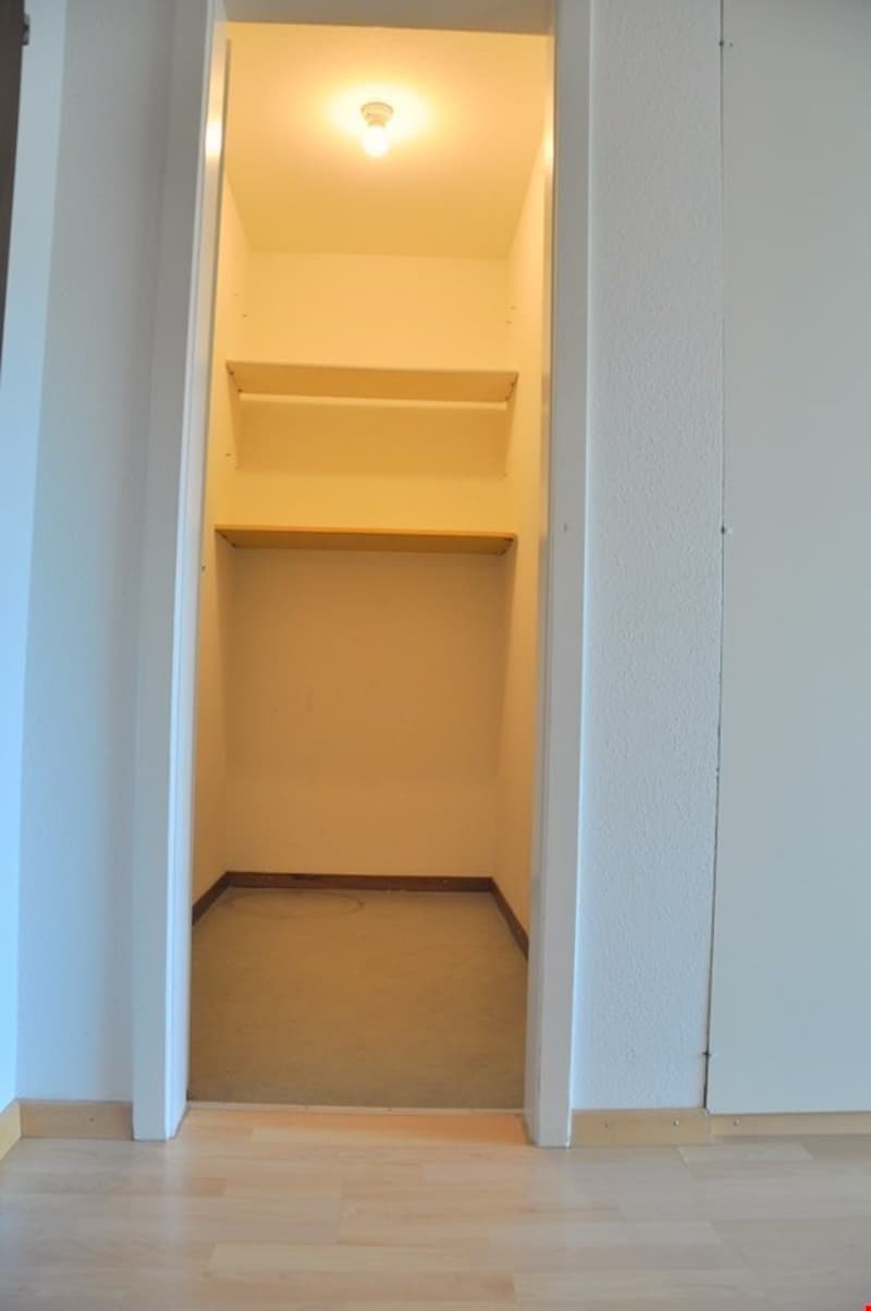 Empty room with wooden floor, white walls, two shelves, and a ceiling light