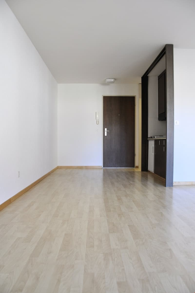 1-Zimmer-Wohnung im Breitenrain (3)