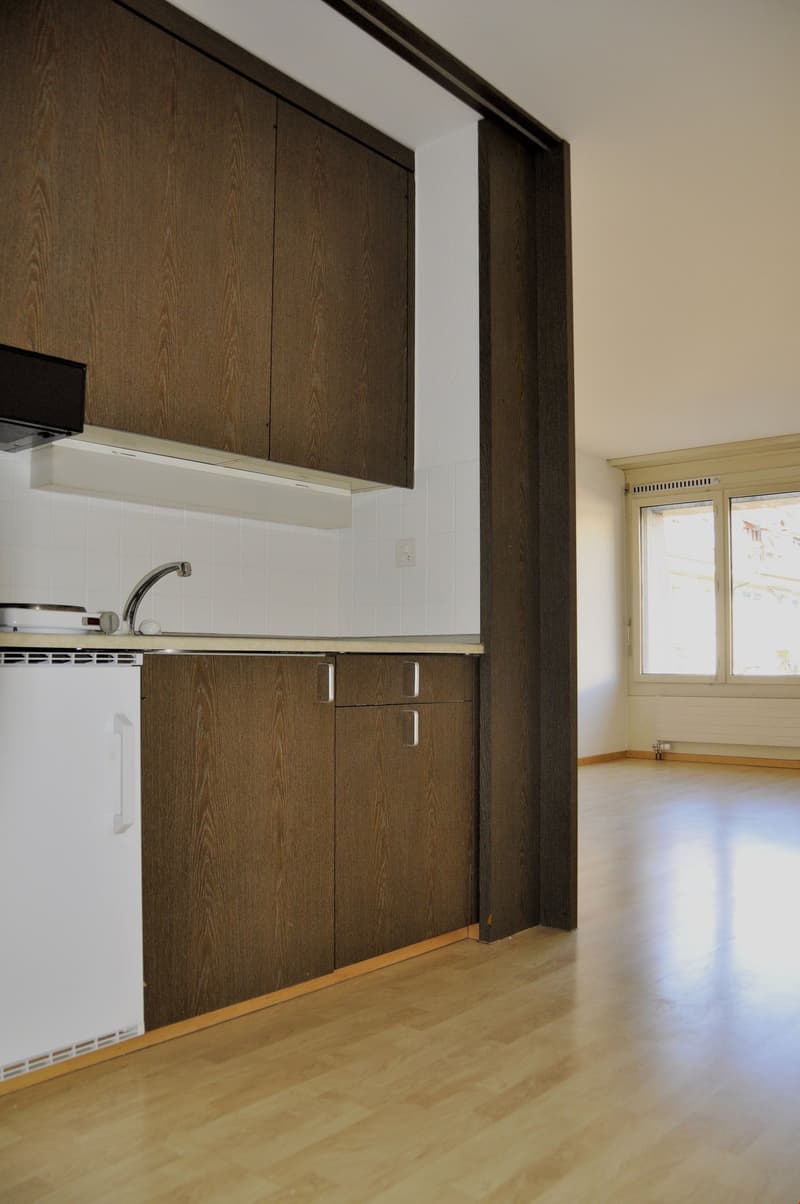 1-Zimmer-Wohnung im Breitenrain (5)