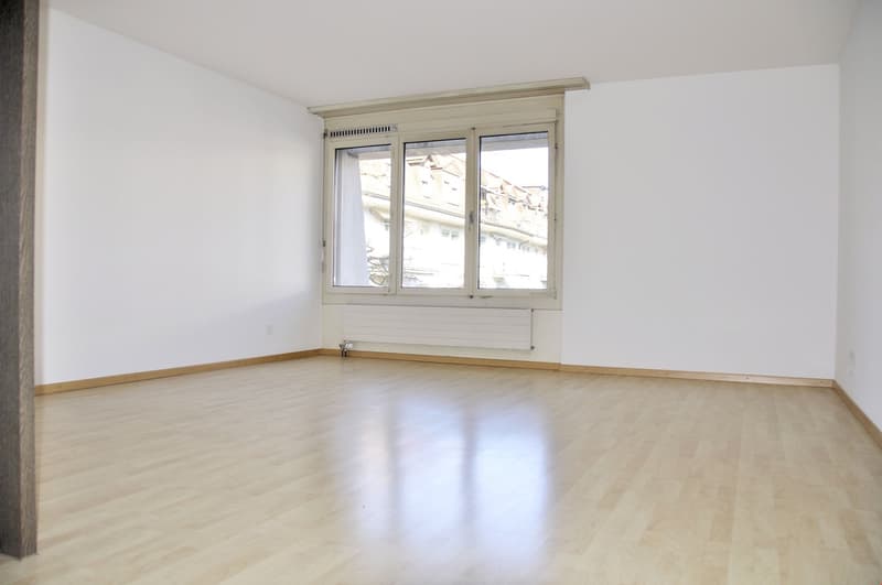 1-Zimmer-Wohnung im Breitenrain (2)