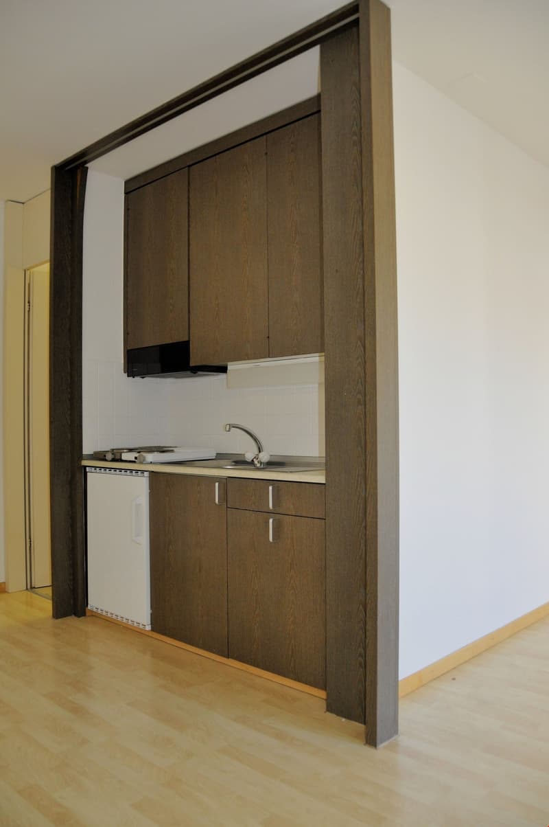 1-Zimmer-Wohnung im Breitenrain (4)