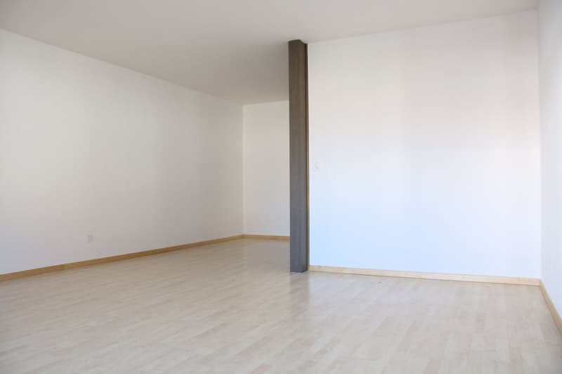 1-Zimmer-Wohnung im Breitenrain (7)