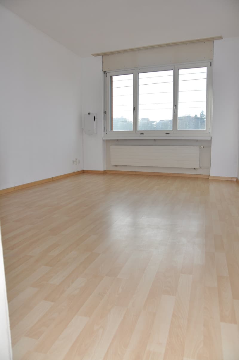 1 Zimmerwohnung im Lorrainequartier nähe HB (2)