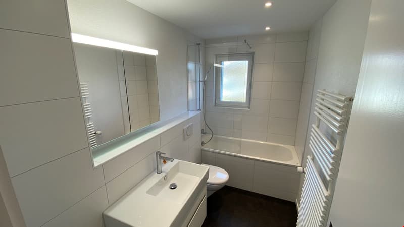 wunderschöne ruhig gelegene 3.5-Zimmerwohnung in Münchringen zu vermieten (5)