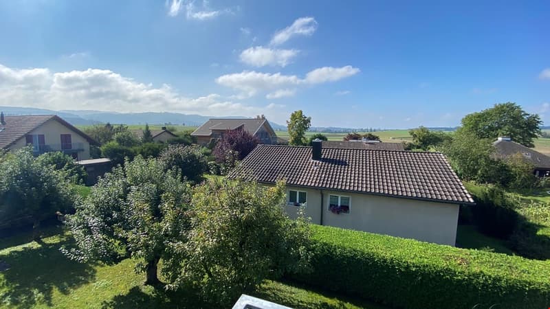 wunderschöne ruhig gelegene 3.5-Zimmerwohnung in Münchringen zu vermieten (7)