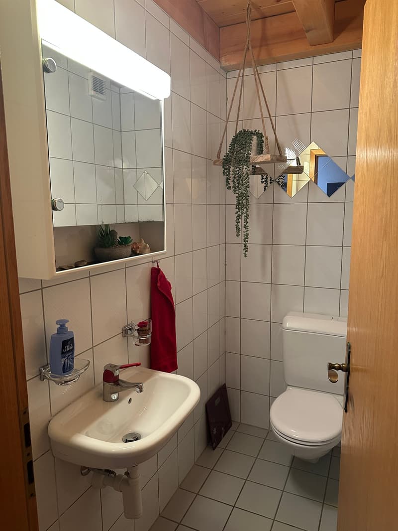 Wohnen im Grünen mit Pool und Garten (9)