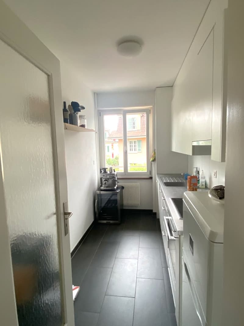3-Zimmerwohnung im Fischermätteli (3)