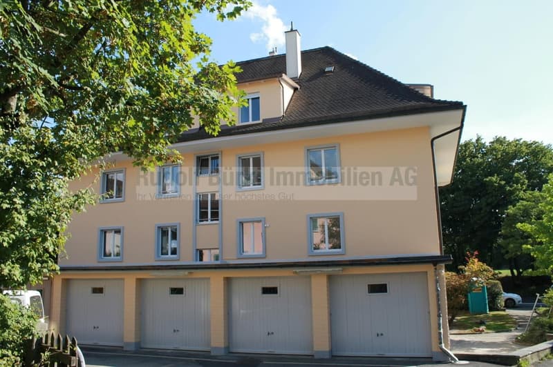 3-Zimmerwohnung im Fischermätteli (6)