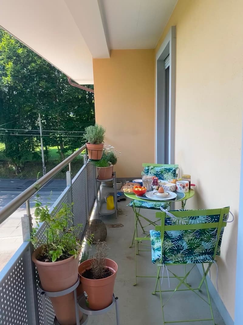 3-Zimmerwohnung im Fischermätteli (4)