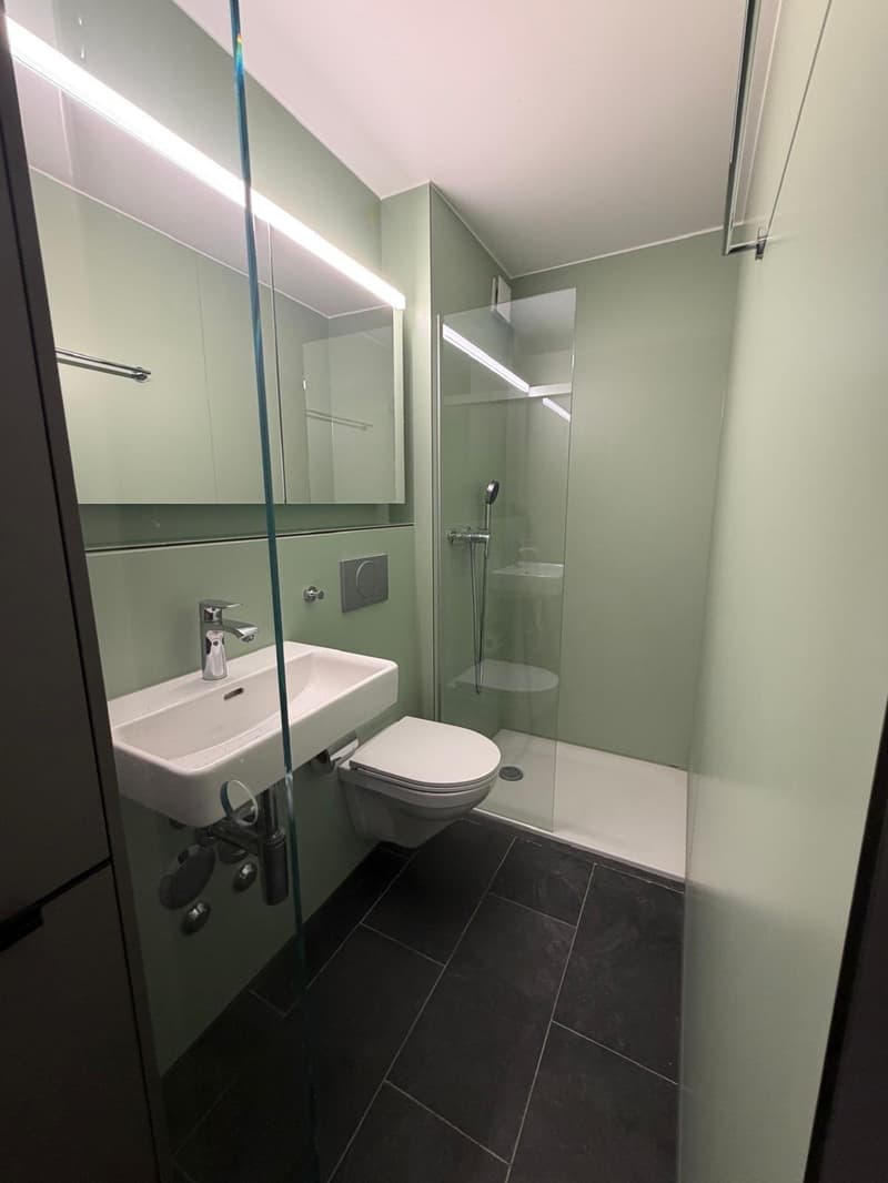 Möblierte Luxuswohnung in der Altstadt (5)