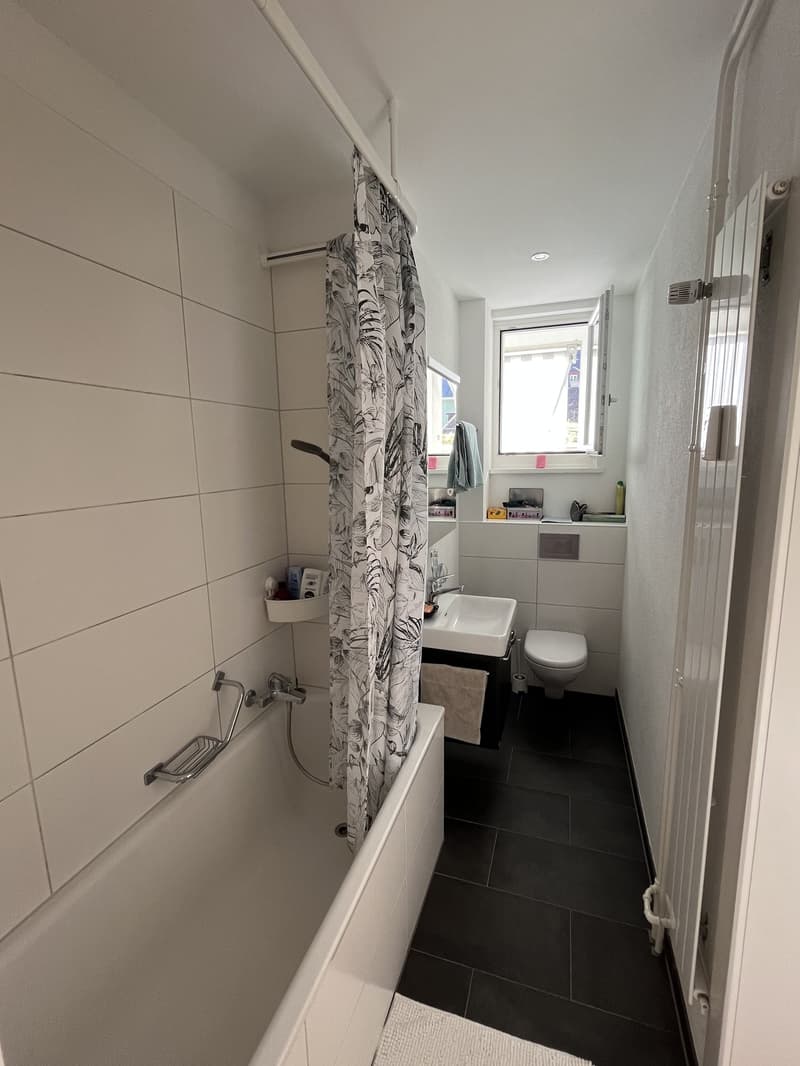 Moderne 2.5-Zimmer-Wohnung in Bern (3)