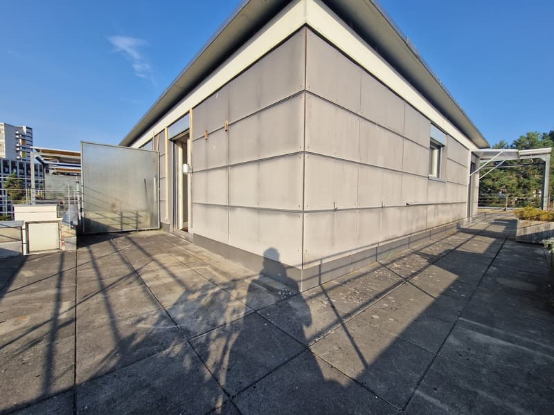 2-Zimmer Attikawohnung in Bümpliz (6)