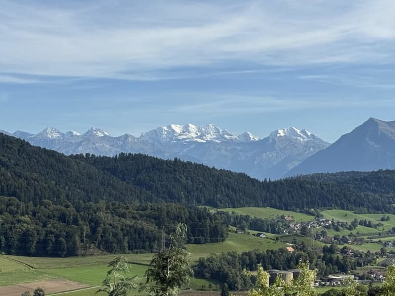 Ausblick