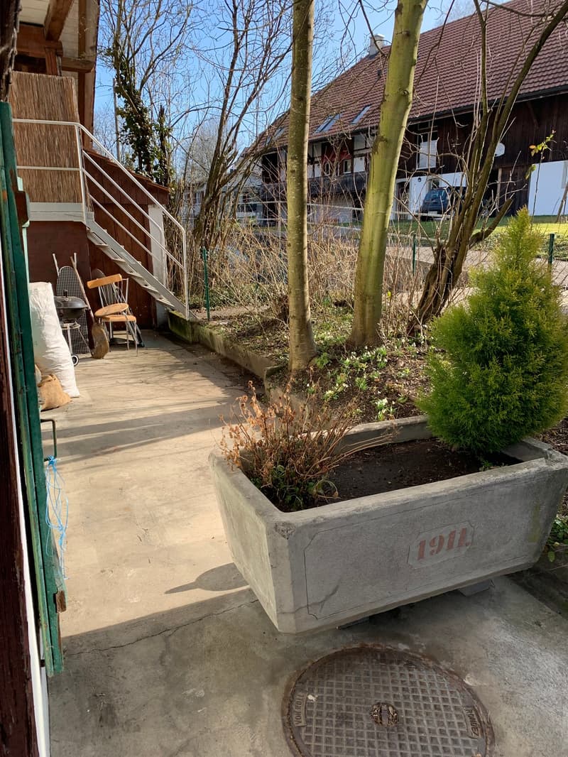 helle 2 1/2 Zimmer Wohnung EG mit privater Terasse (14)