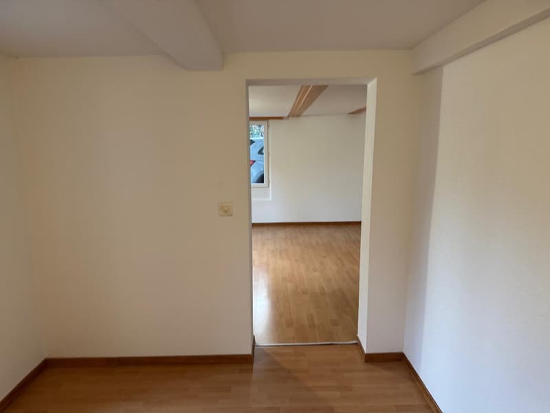 helle 2 1/2 Zimmer Wohnung EG mit privater Terasse (5)