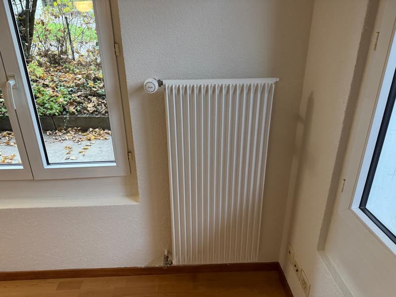 helle 2 1/2 Zimmer Wohnung EG mit privater Terasse (6)
