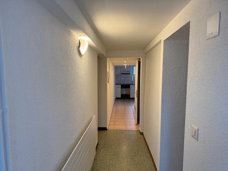 helle 2 1/2 Zimmer Wohnung EG mit privater Terasse (10)