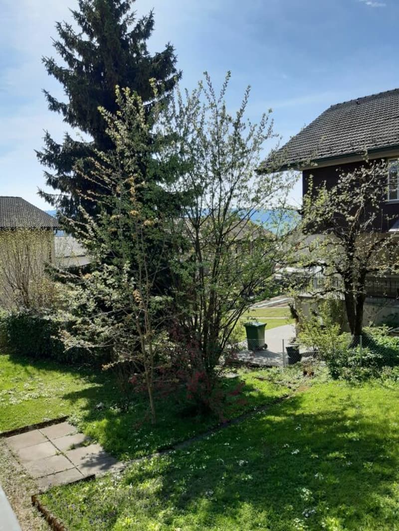 Aussicht