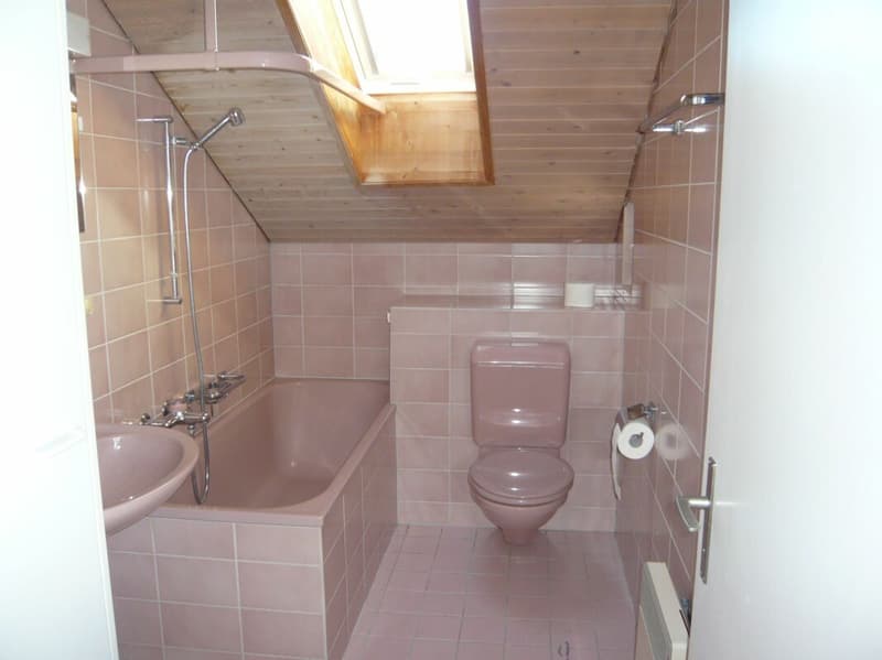 2.5 Zimmer-Dachwohnung (3)