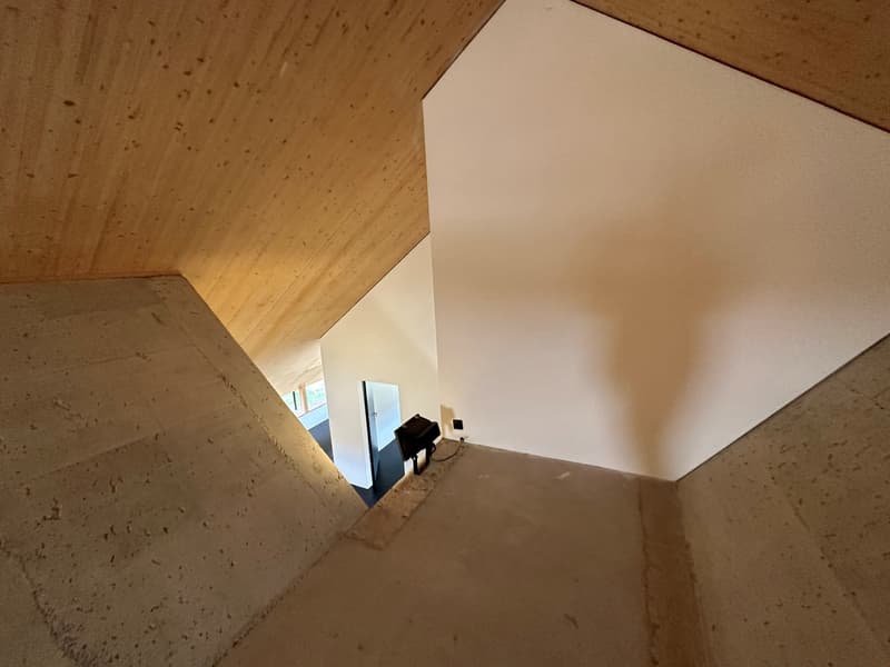 Minergie-p mit Aktivkühlung - ruhig wohnen wie im Einfamilienhaus - mit einzigartiger Architektur (14)