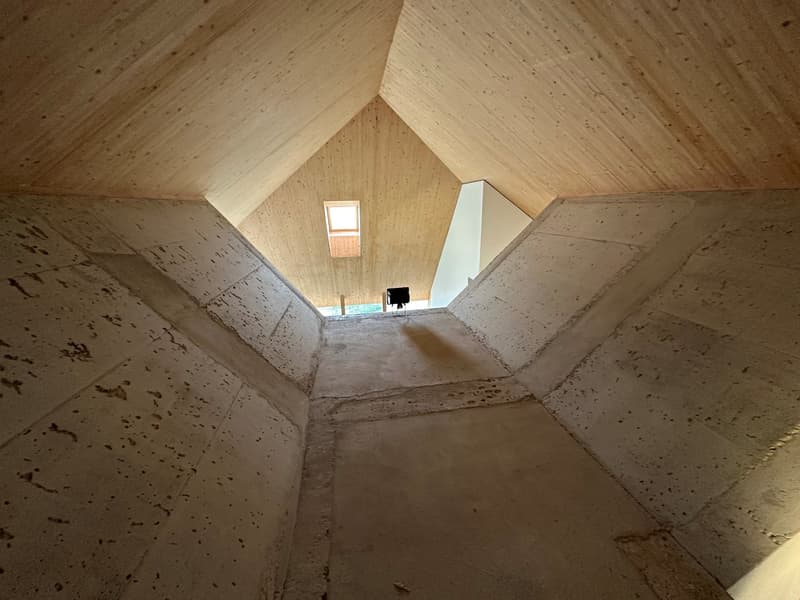 Minergie-p mit Aktivkühlung - ruhig wohnen wie im Einfamilienhaus - mit einzigartiger Architektur (3)