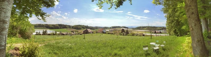 Minergie-p mit Aktivkühlung - ruhig wohnen wie im Einfamilienhaus - mit einzigartiger Architektur (13)