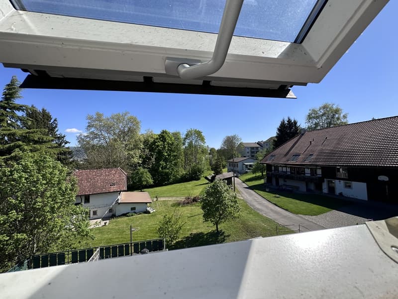 helle 2 1/2 Zimmer Wohnung 2. OG süd mit privatem Balkon und Dachzimmer (18)