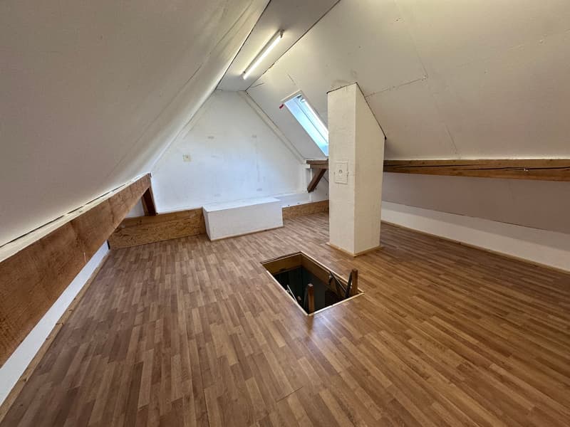 helle 2 1/2 Zimmer Wohnung 2. OG süd mit privatem Balkon und Dachzimmer (17)