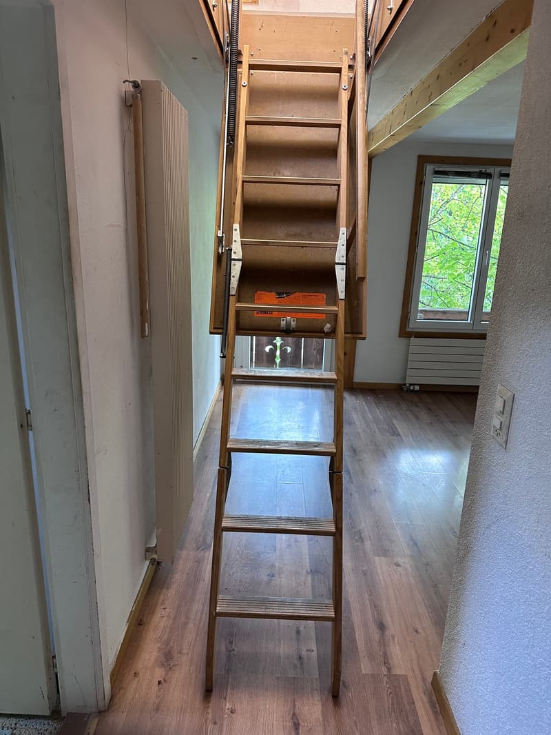 helle 2 1/2 Zimmer Wohnung 2. OG süd mit privatem Balkon und Dachzimmer (16)