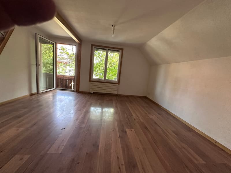 helle 2 1/2 Zimmer Wohnung 2. OG süd mit privatem Balkon und Dachzimmer (11)