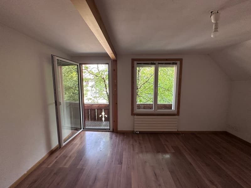 helle 2 1/2 Zimmer Wohnung 2. OG süd mit privatem Balkon und Dachzimmer (8)