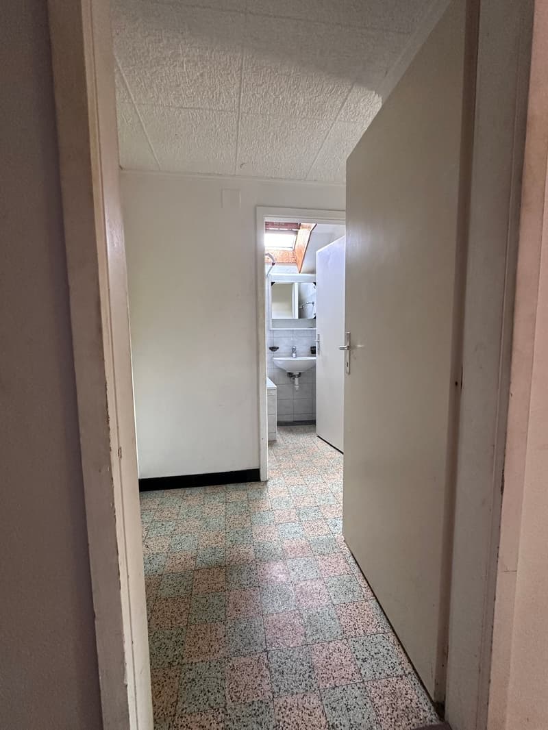 helle 2 1/2 Zimmer Wohnung 2. OG süd mit privatem Balkon und Dachzimmer (3)