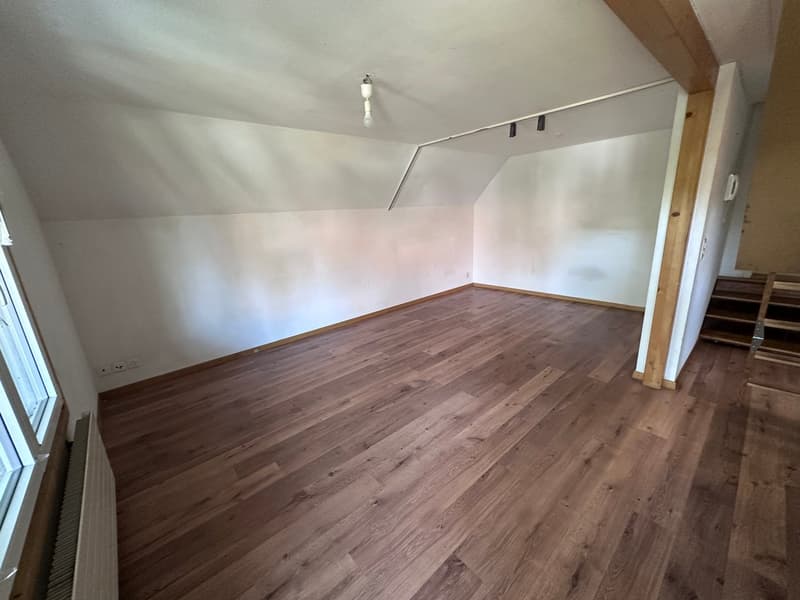 helle 2 1/2 Zimmer Wohnung 2. OG süd mit privatem Balkon und Dachzimmer (9)