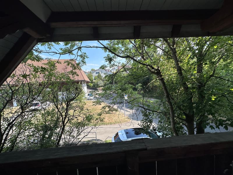 helle 2 1/2 Zimmer Wohnung 2. OG süd mit privatem Balkon und Dachzimmer (13)