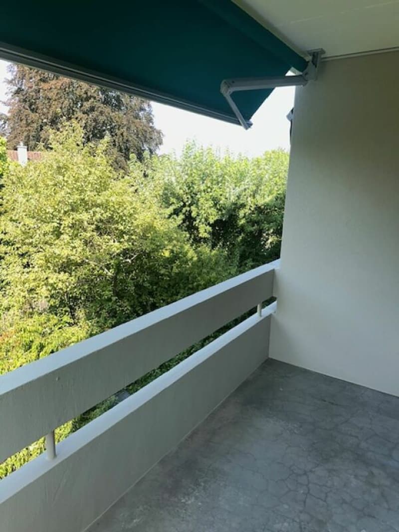 Helle 3-Zimmer-Wohnung, mit Blick ins Grüne (14)