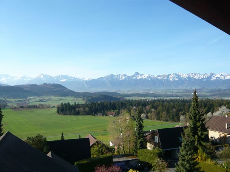 Sonnige 2-Zimmer-DG-Wohnung mit Weitsicht (1)
