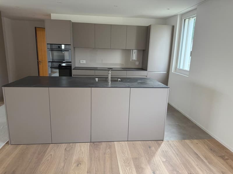 modern kitchen with grey cabinets, wooden floor, stainless steel sink, faucet, oven, extractor