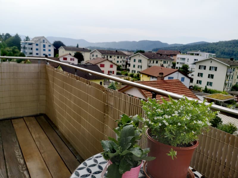 Gemütliche Dachwohnung mit Cheminée (9)