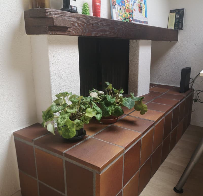 Gemütliche Dachwohnung mit Cheminée (5)