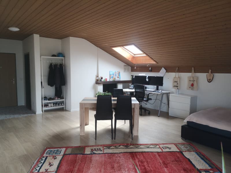 Gemütliche Dachwohnung mit Cheminée (4)