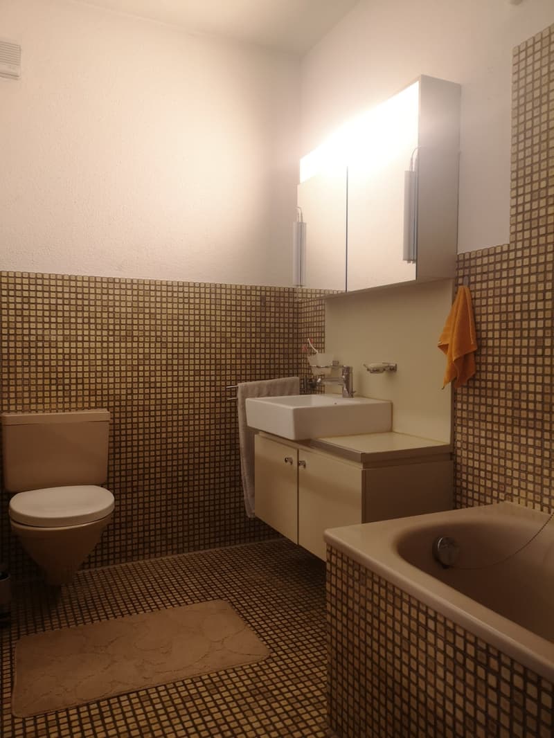 Gemütliche Dachwohnung mit Cheminée (8)