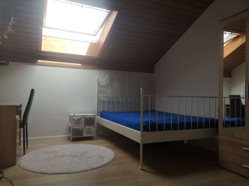 Gemütliche Dachwohnung mit Cheminée (6)
