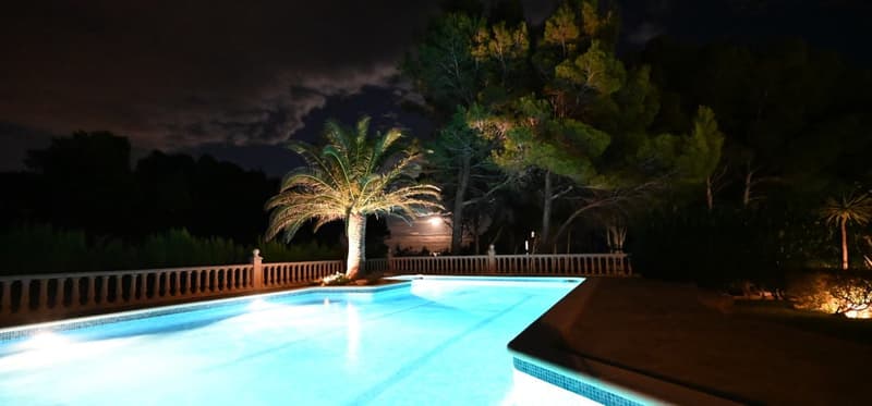 Outdoor swimming pool surrounded by palm trees and other vegetation, with a stone balustrade and lighting illuminating the area at night.