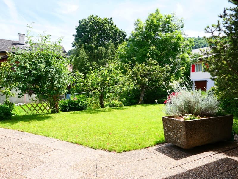Large grassy area with trees and shrubs, wooden fence, plants in planter box, pathway