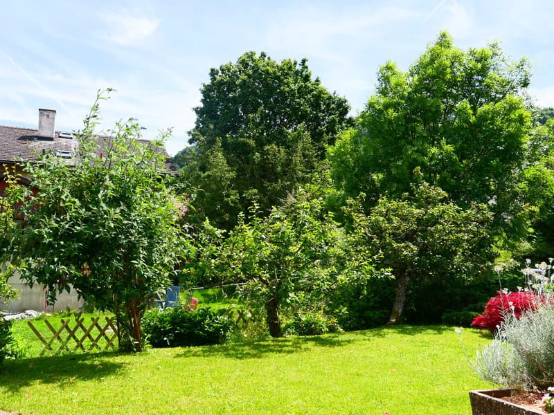 Lush green garden with tall trees, shrubs, and a well-maintained lawn. There is a wooden fence visible in the image, suggesting a private outdoor space. The garden appears to be surrounded by a residential building or structure.