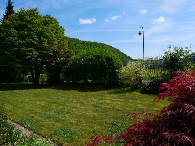 Lush green lawn surrounded by trees and shrubs, with a red Japanese maple tree in the foreground. A lamp post is visible in the background.